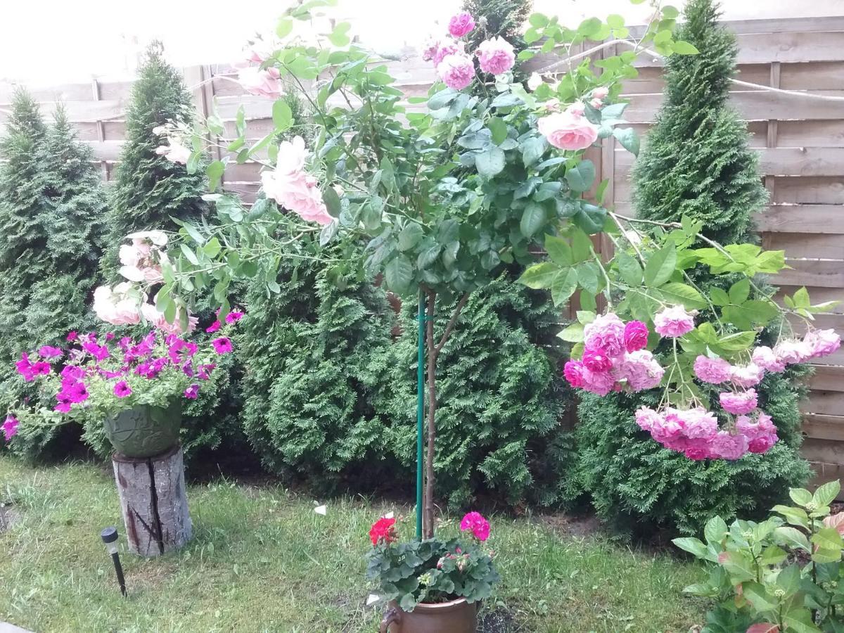 Apartament Torun Luaran gambar